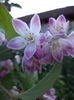 DSC03904