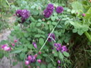 DSC03907