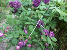 DSC03908