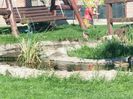 20150530_085119