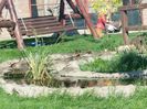 20150530_085021