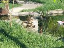 20150530_075655