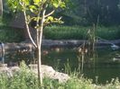 20150530_073325