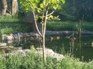 20150530_073256