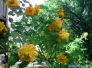 IMG_20150530_110233