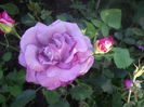 DSCN7787