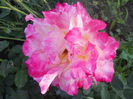DSCN7788