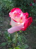 DSCN7789