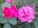 DSCN7795