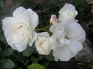 SAM_5478