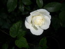 SAM_5479