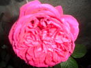 SAM_5480