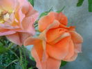 SAM_5487