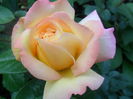 SAM_5492