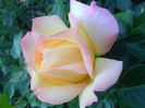SAM_5493