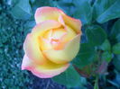 SAM_5495