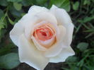 SAM_5499