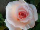 SAM_5519