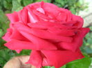 SAM_5543