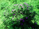 IMG_20150530_113817