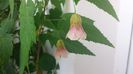 20150529_200110