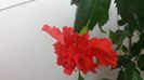 20150529_200001