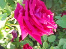 DSCN7801