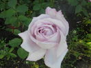 DSCN7802