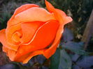 IMG_20150530_203300