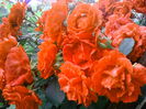 IMG_20150530_203000