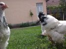 20150507_121650