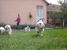 20150507_121727