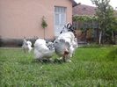 20150507_121731