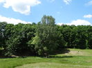 DSC06598