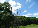 DSC06601