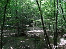 DSC06605