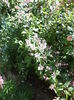 DSC03923
