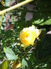 DSC03957