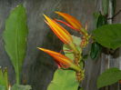 DSCN8520