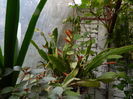 DSCN8524