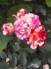 20150531_152532