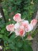 20150531_152538