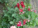 20150531_152557