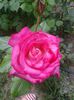 20150531_152614