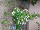 20150531_152647