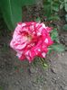 20150531_152723