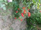 20150531_152740
