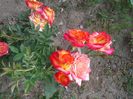 20150531_152756