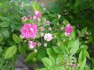 20150531_160405