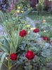 DSC07705